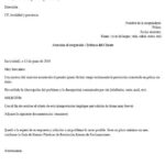 Cómo presentar una demanda a una compañía de seguros: guía legal