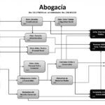 Conoce cuántas materias hay por año en la abogacía