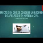Consecuencias de perder una apelación en el ámbito legal