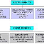 Consecuencias legales de omitir declaración en juicios de violencia de género