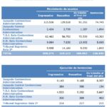 Costas en contenciosos administrativos: monto posibleguía de expertos