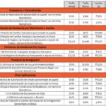 Costo de petición familiar: tarifas de abogados especializados