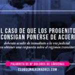 ¿Cuándo un padre pierde el régimen de visitas? Claves legales