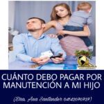 ¿Cuánto debe aportar un padre a su hijo según la ley?