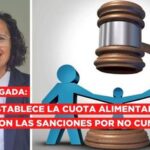 Cuota alimentaria: Abogados explican quién la establece