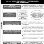 Derechos y deberes fundamentales del artículo 11 de la Constitución española