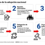 Desentrañando la complejidad de la adopción en España