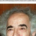 Diálogos legales entre calvos: lo que se escuchó