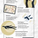 Duración de la carrera de abogacía en criminalística: información esencial
