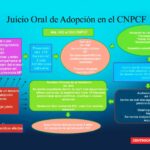 Duración estimada del proceso de adopción con abogados expertos