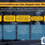 El papel del abogado en derecho constitucional: todo lo esencial