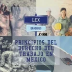 Entiende el artículo 39: Derechos laborales en México