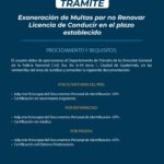 Exoneración de multas de tránsito: asesoría legal especializada al alcance