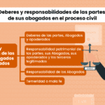 Funciones y definición del abogado procesal en el sistema judicial