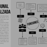 Funciones y resoluciones del tribunal de alzada en el derecho