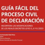 Guía completa del proceso de juicio civil con abogados