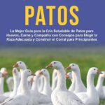 Guía de expertos para la alimentación de patitos bebés