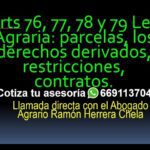 Guía esencial del artículo 77 de la ley agraria para abogados