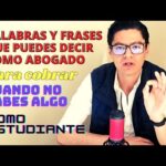 Guía esencial para comprender el lenguaje legal de los abogados