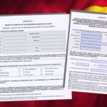 Guía legal sobre la ley de nietos: asesoría profesional