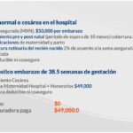 Honorarios legales en casos de embarazo: costos a considerar