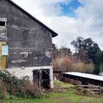 Implicaciones legales al ocupar terrenos abandonados: asesoría legal necesaria