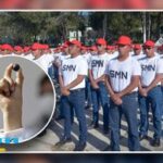 Implicaciones legales por no asistir tras recibir bola negra