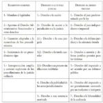 Importancia del Debido Proceso: Consecuencias Legales Explicadas por Abogados