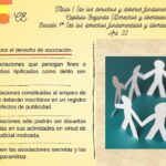 Interpretación del artículo 22 de la Constitución: Abogados opinan