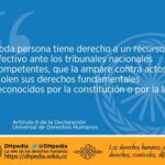 La importancia del artículo 8 en el ámbito legal hoy