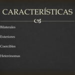 Las 4 características esenciales del derecho en el ámbito legal