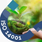Ley 14001: guía esencial sobre su impacto legal
