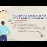 Ley de Protección de Datos: Importancia del Artículo 4 en Derecho
