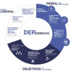 Materias que puede enseñar un abogado: especialidades legales