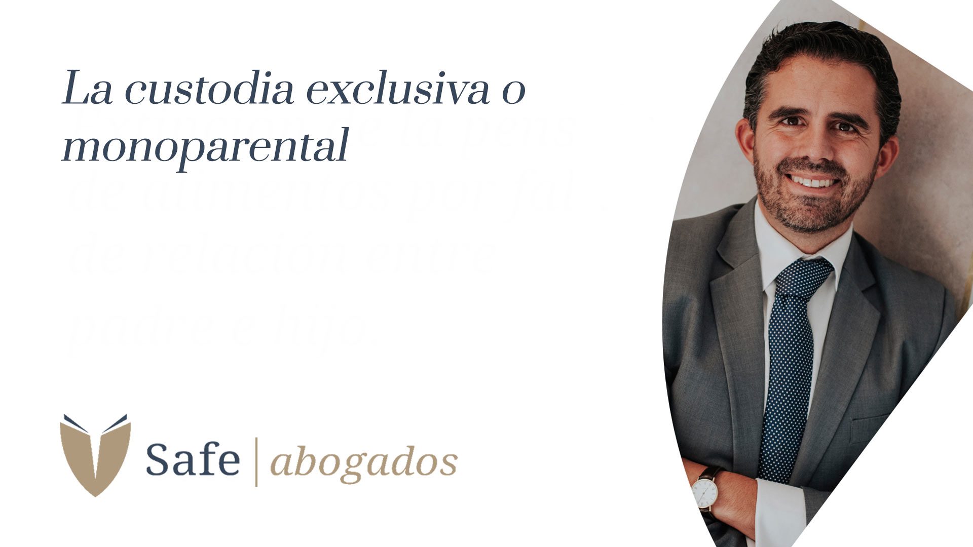 Opciones de custodia en abogados: infórmate sobre ellas