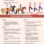 Opciones legales en el ciclo de deportes: asesoría profesional