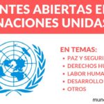 Oportunidades de carrera en derecho en la ONU disponibles