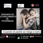 Paternidad no biológica: Términos legales explicados por abogados