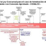Plazo para el administrador concursal en asuntos legales