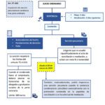 Plazos de sentencia en juicios de seguridad social: lo que debes saber