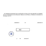 Proceso completo para obtener el NIE con abogados expertos