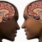 ¿Quién tiene mejor memoria en el ámbito legal: hombres o mujeres?