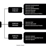 Ramas del derecho administrativo en la práctica legal
