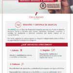 Registro industrial: conoce quién otorga esta autorización con abogados expertos