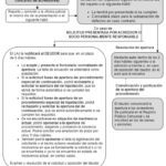Requisitos para solicitar un proceso concursal: Asesoría legal especializada