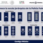 Salario de abogados en derecho militar: cuánto gana un policía