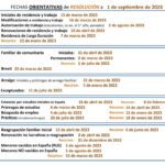 Tiempo de tramitación de expedientes en extranjería: Guía legal