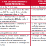 Tiempos y plazos del tribunal médico en litigios de salud