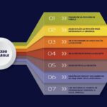Tipos de parole en el sistema legal: guía para abogados