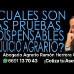 Tipos y requisitos de pruebas en juicios agrarios para abogados